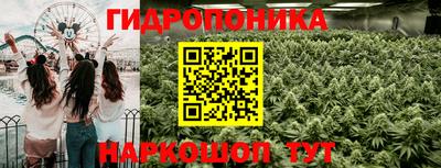 хмурый Апшеронск