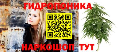 шишки Апрелевка