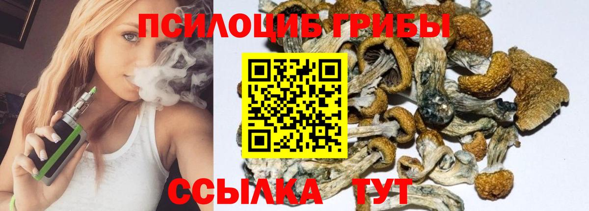 Псилоцибиновые грибы ЛСД  Артёмовский  Галлюциногенные грибы Psilocybe 