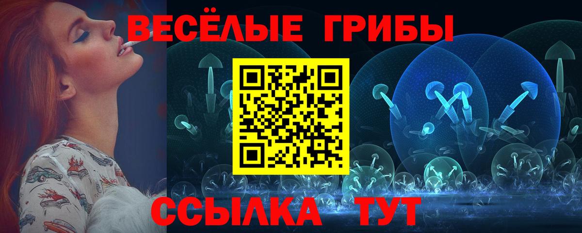 Псилоцибиновые грибы мицелий Артёмовский